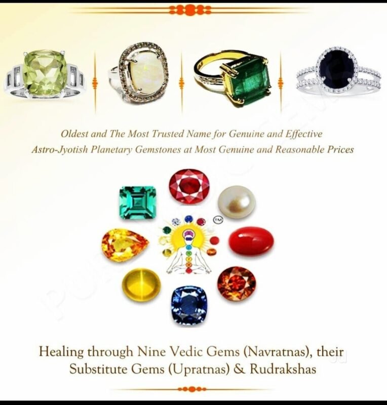 WhatsApp Image 2025-02-24 at 6.46.42 PM (1)