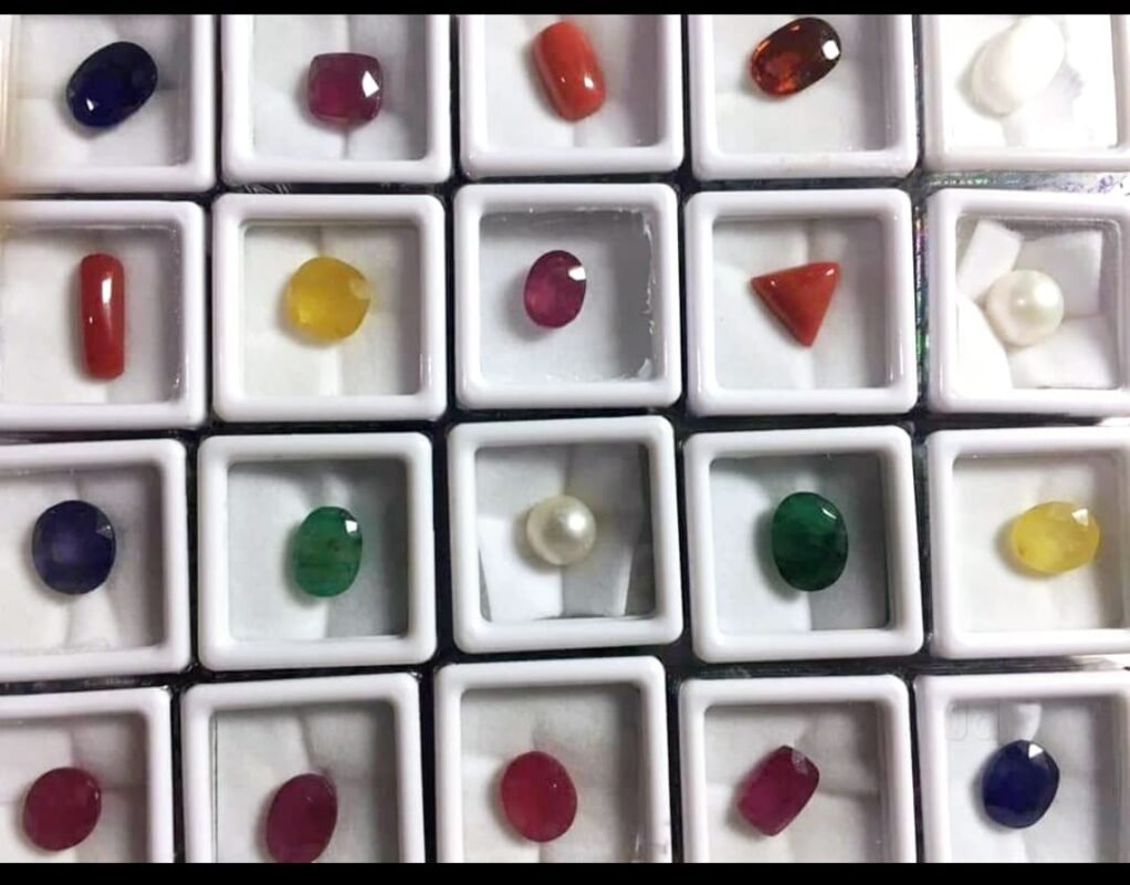 WhatsApp Image 2025-02-24 at 6.46.42 PM